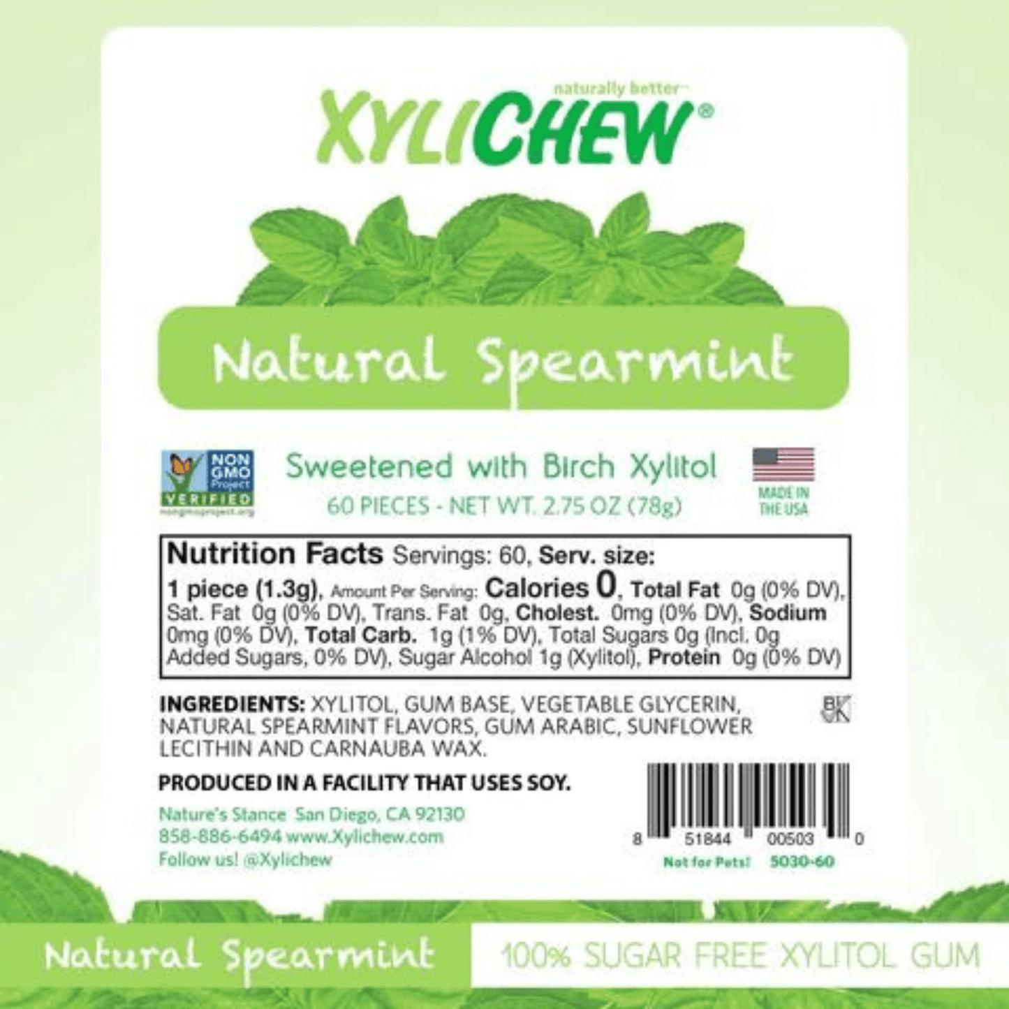 XyliChew Spearmint Chewing Gum Jar 60 Piece